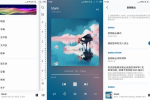 安卓椒盐音乐播放器v10.1.0