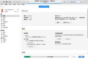 苹果iTunes v12.13.2.3 / 12.6.5.3