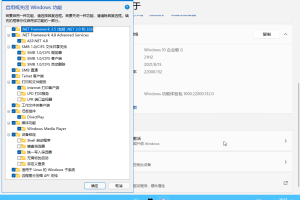 xb21cn Windows11企业版 21H2