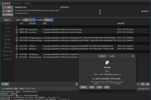czkawka重复文件查找清理v7.0