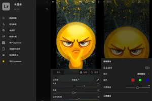 安卓Lightroom调色软件v8.5.0高级版