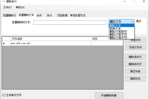 万能TxT文件超级批量处理器