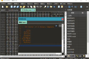 010 Editor v12.0.1汉化绿色版