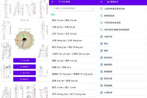 安卓中医经络穴位流注v3.1