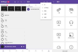 安卓KMPlayer v30.12.231