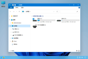 Windows11企业版22000.1精简版