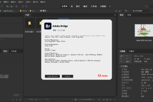 Adobe Bridge 2022 v12.0.2.252