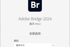 Adobe Bridge 2024 v14.1.1.274