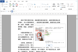 Ashampoo PDF Pro v3.0.8便携版