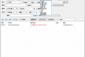 MiniRenamer批量文件重命名v2.2.0