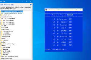 xb21cn Windows10企业版G 21H2