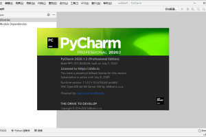 PyCharm 2021.1.3便携汉化版