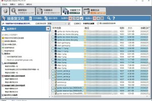 Duplicate Cleaner Pro v5.20.1