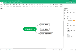 EdrawMind Pro v10.7.2.204绿色版