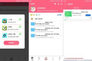 安卓磁力云 v2.6.3高级版