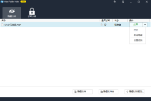 Wise Folder Hider 绿色便携版