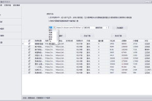 PC短视频批量解析助手v3.0.5