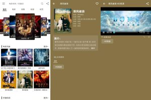 安卓风影院v2.1.3去广告版