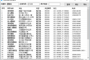 PC高德商家信息查询工具