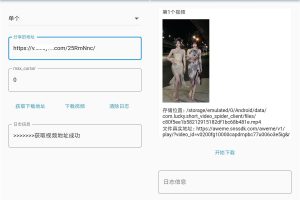 PC+安卓短视频下载工具