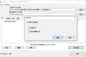 Enigma Virtual Box v10.80汉化版