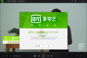 爱奇艺万能播放器v5.1.53精简版
