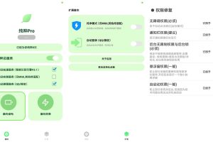 安卓纯粹Pro v2.6自动跳过广告