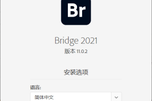 Adobe Bridge 2021 v11.0.2.123.0