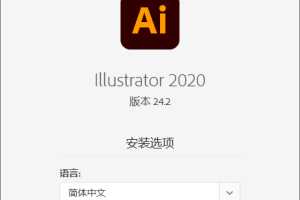 Adobe Illustrator 2020