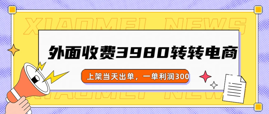 外面收费3980的转转电商玩法，上架当天出单，一单利润300