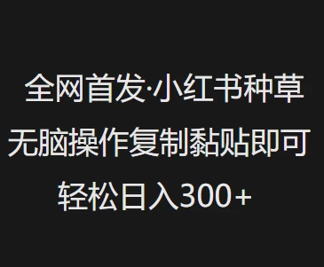 全网首发 小红书种草无脑操作复制黏贴即可 轻松日入300+